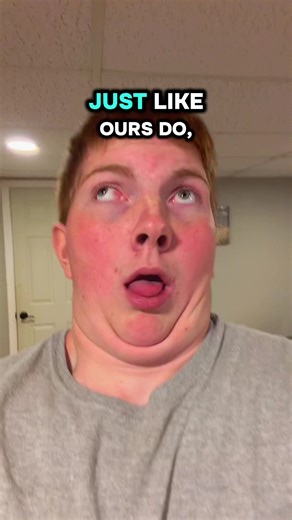 FreakyAhCousin (@freakyahcousin)’s video of T Rex