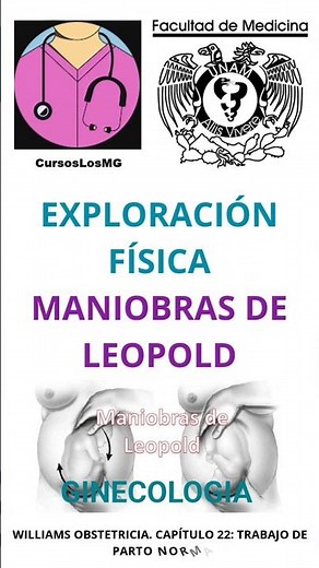 Exploración Física - Maniobras de Leopold. Ginecologia. Aprendiendo Medicina #medstudent