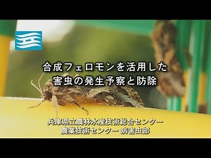 R2-006-合成フェロモンを活用した害虫の発生予察と防除