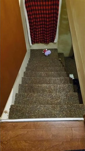 Day 110 of Dropping Tenna down the stairs until Deltarune Chapter 5 releases #undertale #deltarune