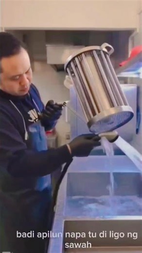 washing butcher tools and Burmese phyton