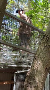 These two awesome boys.. up on the aviary roof removing dried gumnuts to let more sunlight in.. my attempts at it were not as successful as Jeremy’s and Jackson’s !! Thanks boys.. both so fantastic! 👌 | Macaws And More