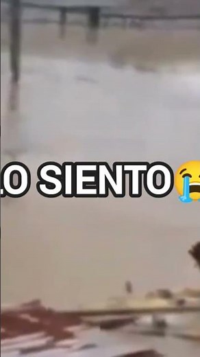 Lo siento Wilson! the chicken video
