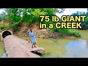 The SMALLEST CREEKS have the BIGGEST FISH!!