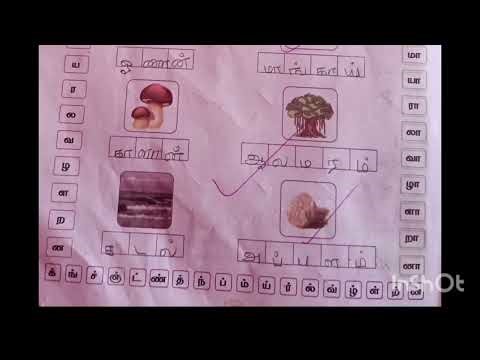 2nd std |Term 2 |Tamil Work Book|மொட்டு|பயிற்சி 1.2-1. 3