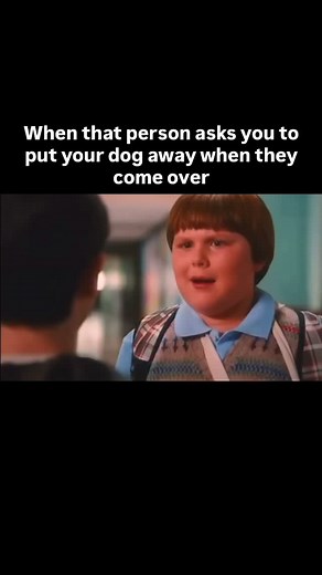 13K views · 95 reactions | You mean coming over to my dogs house?...