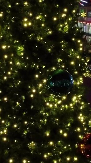 9.7K views · 63 reactions | We’re making Christmas magical ✨ Holiday SPECTRA shows light up Main Street each night at 6 + 7 pm!  | The Wharf | Facebook