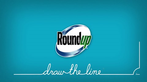 Roundup 32 oz. Concentrate Weed and Grass Killer 5005001