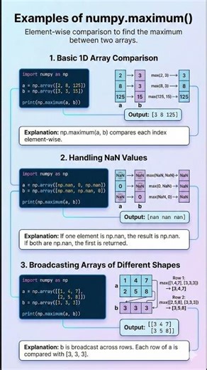 Examples of np.maximum() function in NumPy #datascienceforbeginners #pythonprogramming #engineering