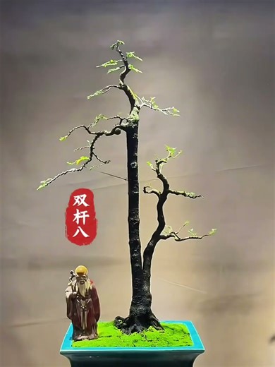 10 Dáng Cây Bonsai Đẹp