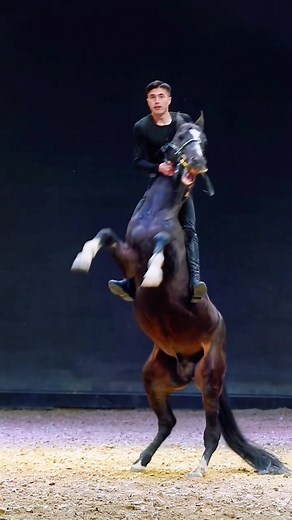 #viral #fyp #foryou #horse #horseriding #horsesoftiktok