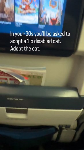 She’s perfect. #cat #catdad | Dr. Mike Walker