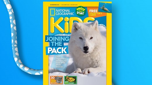 Magazine sneak peek December 2022