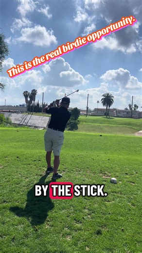 #birdie #golf