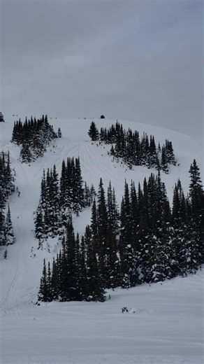 2015 polaris pro 163 mountain tech turbo @lucille b.c