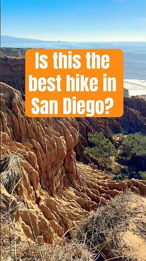 Explore Torrey Pines State Natural Reserve Near San Diego #Shorts