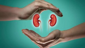 8 breakfast choices that can worsen kidney problems: Foods to avoid in the morning