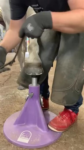 Click clack music #horses #hoof #trimming #restoration #FacebookReelsContest #reels #facebookreels #reelsfb #reelsviral #reels #reallife #Amazing #viral | Horse Hoof Trimming