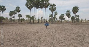 fly behind a toddy tapper carrying plastic containers filled with a palm sap on his shoulder