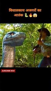 विशालकाय अजगरों का आतंक | Boa vs Python Movie Explained in Hindi