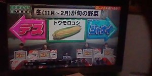フジテレビ ネプリーグ