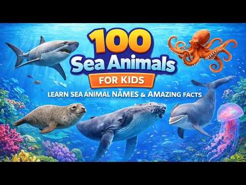 100 Sea Animals for Kids to Learn | Ocean Animals Names & Amazing Facts