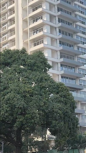 Crown Towers (Amanora) getting Ready