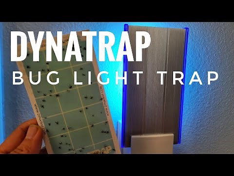 BEST INDOOR Insect Fly Mosquito TRAP Dynatrap Review UV Sticky Light PROOF IT WORKS!