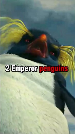 Did You Know, For Happy Feet....