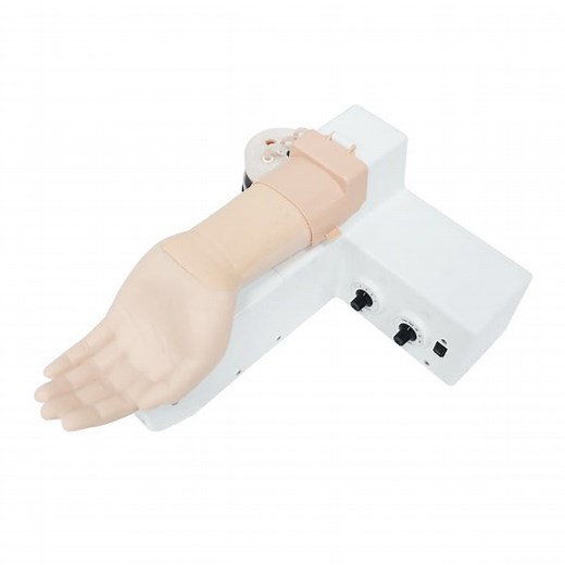 Arterial Puncture Wrist Training Model