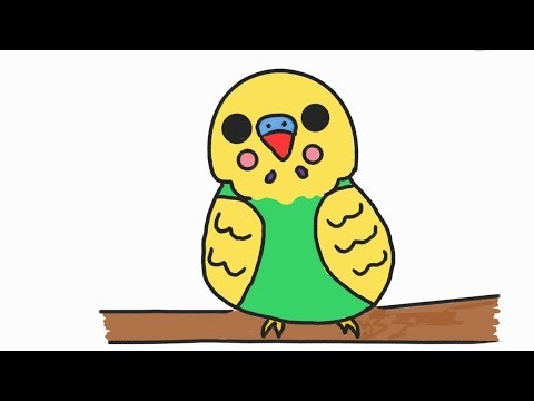 How to draw a parakeet || Easy parakeet drawing || Parakeet drawing tutorial ||