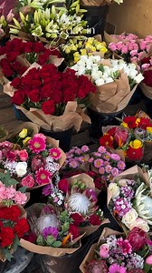 4.7K reactions · 26 shares | Your Cape Town adventure begins at The Winchester Hotel.  Enjoy the perfect blend of luxury and convenience.  @madeinjozi For more info or to book your stay, visit https://tinyurl.com/2hz78nms Alternatively, email reservations@newmarkhotels.com | call +27 21 427 5901 #newmarkexperiences #newmarkhotels #capetown #boutiquehotels #thewinchesterhotel | The Winchester Hotel | Facebook