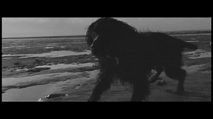 You won't believe what this new perfume for dogs smells like! The fragrance focuses on dogs favorite scent: BUTT! Fetch by Fetch has just the right scent of fresh poo with notes of freshly mowed grass and just a hint of floral. See their commercial for it below. p.s. Make sure you have sound on! | 3MillionDogs