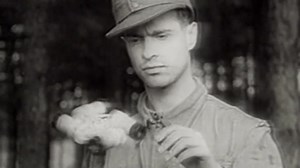 Late War Fighters of the Luftwaffe