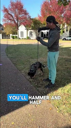 DIY Christmas Light Arch Christmas Decorate with Me DIY Decorations Christmas Ideas Holiday Lights