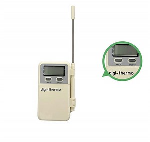 [Hot Item] Hand Thermometer Wt-2 Pen Type and Built-in Probe Type Simple Digital Thermometers