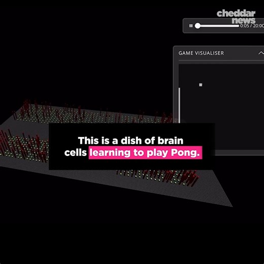 Basically, it’s a computer… powered by the human brain. | cheddar news
