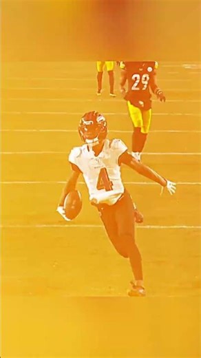 Steelers and ravens CRAZY ENDING🍿🔥 #shorts