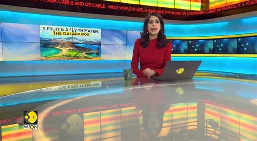 WION Climate Tracker: Invasive species threaten Galapagos islands