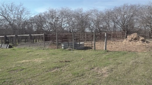Central Texas ranchers searching for answers after theft of cattle