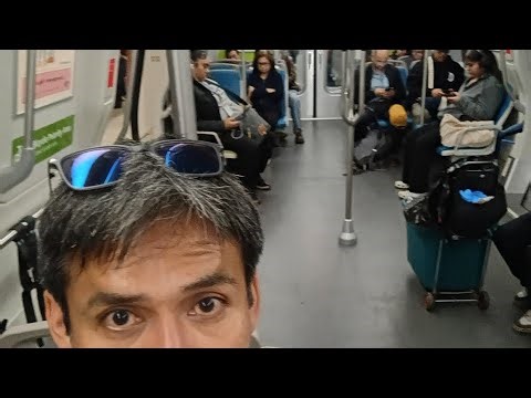 I Went To "BEARATHON" on Harrison Street