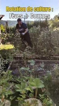 Après Les Fèves on enchaîne avec les courges !