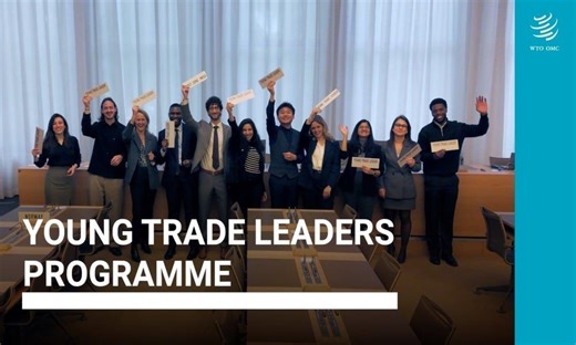 Here are two possible title options, each 50 characters or fewer: 1. iDICE Founders Lab Programme: Up to 7M Naira Funding for Nigerian Tech-Businesses 2. WTO Young Trade Leaders Programme 2026 for… | Johnpaul Mbanefo posted on the topic | LinkedIn