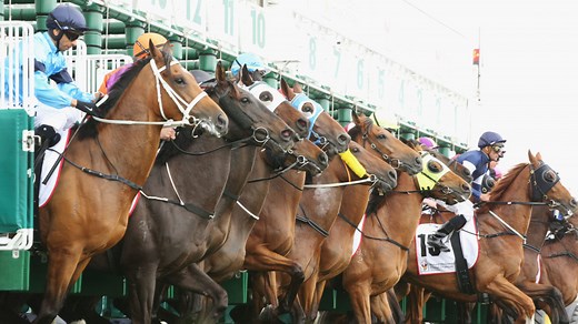 How to run a Melbourne Cup sweep