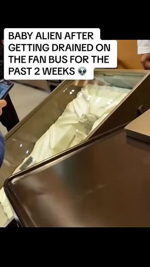 BABY ALIEN AFTER GETTING DRAINED ON THE FAN BUS FOR THE PAST 2 WEEKS #foryou #pourtoi #humor