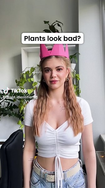 Identify plants & diseases 🔎 Get customized care plans💚 Learn how to water and fertilize your plants👩‍🌾 Connect with plant enthusiasts🌿