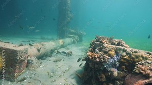 Old iron post pipes underwater inhabited by corals, fishes and other marine life