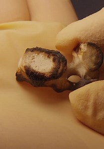 Dead Famous DNA S01:E01 - Episode 1