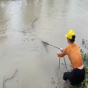 6.7K views · 34 reactions | Pangangaso sa Pinakamalaking Dragon Fish sa Mundo Mula sa Amazon River Monsters | Barista Jahid | Facebook