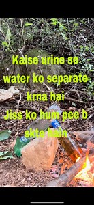 57K views · 417 reactions | Kaise urine se hum drinking water bna skte hain #survival #survivalskills #manvswild #jungle #junglegraphy | KayFa Mir | Facebook